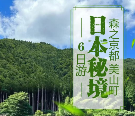 9月青岛到日本特价:东京+双古都奈良+京都 三飞六天 精选当地4酒店