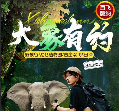 青岛到西双版纳6天五晚游|青岛到云南旅游线路|云南哪里好玩w