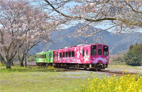 日本特色观光列车，车站没入口也没出口