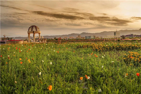 青岛去大西北旅游实用攻略_青甘大环线旅游出行准备_青岛青年国旅